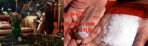 spice Вяземский