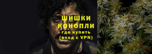 spice Вяземский