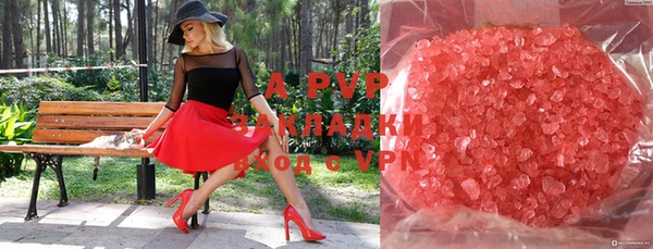 spice Вяземский