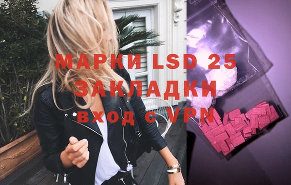 spice Вяземский