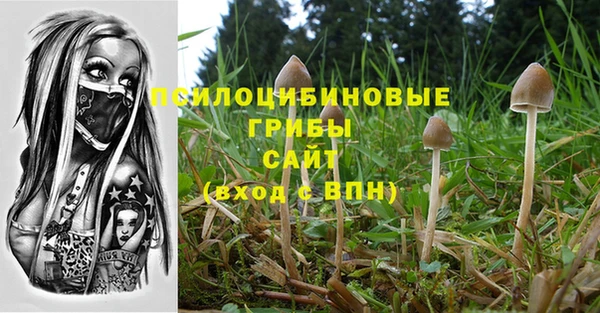эйфоретик Вязники