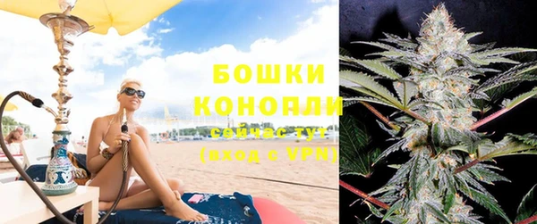 spice Вяземский
