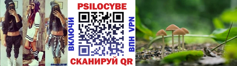 Галлюциногенные грибы Psilocybine cubensis mega как войти Северск